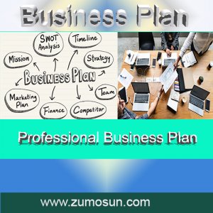 business plan industry setup